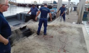 Guardacostas decomisan trasmallos ilegales en el Golfo de Nicoya