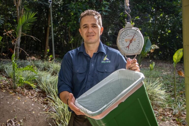 Monteverde transforma residuos en abono orgánico a gran escala