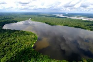 Piden sanción a hacendado brasileño que destruyó geoglifo para sembrar maíz en la Amazonía